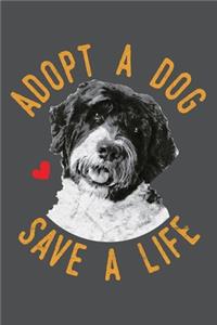 Adopt A Dog Save A Life