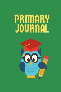 Primary Journal