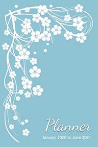 Planner - January 2020 to June 2021