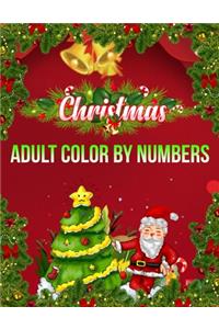 Christmas Adult Color By Numbers