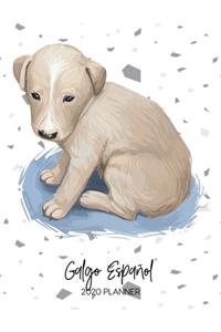 Galgo Español 2020 Planner