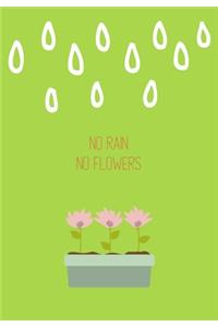 No Rain No Flowers