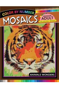Mosaics Hexagon Coloring Book