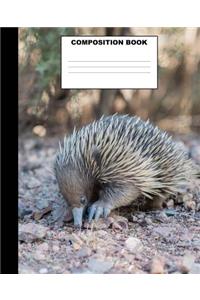 Anteater Composition Book: Anteater Composition Notebook. 132 Pages Wide Ruled 7.5x9.25