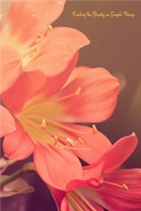 Finding the Beauty in Simple Things