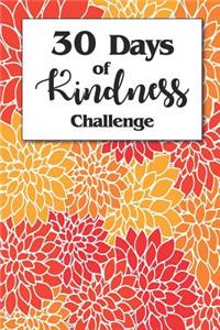 30 Days of Kindness Challenge