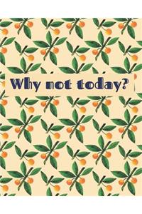 The 90 Day Nutrition and Fitness Tracker