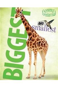 Biggest and Smallest