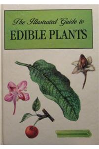The Illustrated Guide to Edible Plants