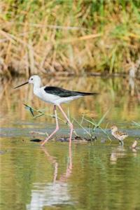Stilt Bird with Chick Following Along Journal