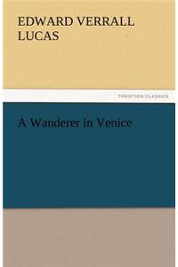 Wanderer in Venice