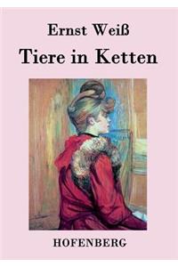 Tiere in Ketten