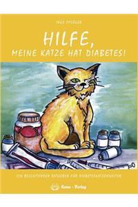 Hilfe, meine Katze hat Diabetes!