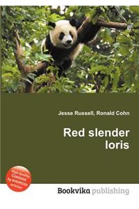 Red Slender Loris
