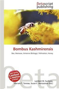 Bombus Kashmirensis
