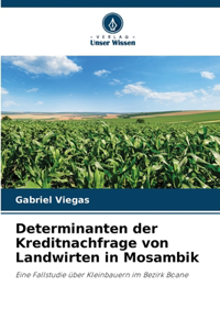 Determinanten der Kreditnachfrage von Landwirten in Mosambik