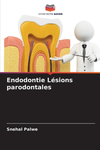 Endodontie Lésions parodontales