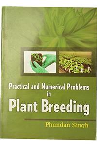 Practical and Numerical problems in Plant Breeding