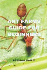Ant Farms Guide for Beginners