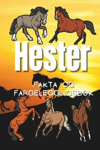 Hester fakta og fargeleggingsbok