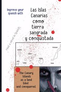 read a novel in Spanish