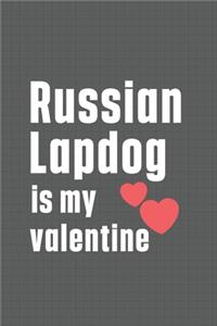 Russian Lapdog is my valentine