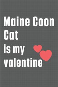 Maine Coon Cat is my valentine