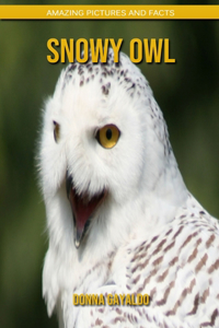 Snowy Owl