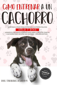 Cómo Entrenar a Un Cachorro