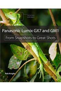 Panasonic Lumix GX7 and GM1