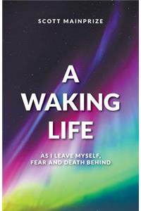 Waking Life - As I Leave Myself, Fear and Death Behind
