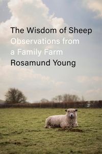 Wisdom of Sheep