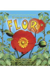 El Ciclo de Vida de la Flor (the Life Cycle of a Flower)