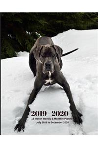 2019 - 2020 18 Month Weekly & Monthly Planner July 2019 to December 2020