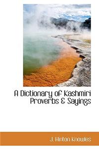 A Dictionary of Kashmiri Proverbs & Sayings