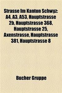 Strasse Im Kanton Schwyz