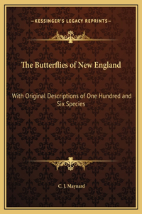 Butterflies of New England