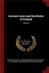 Ancient Laws and Institutes of Ireland; Volume 3