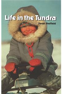 Life in the Tundra