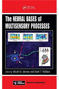 Neural Bases of Multisensory Processes