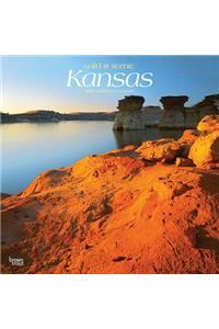 Kansas Wild & Scenic 2019 Square