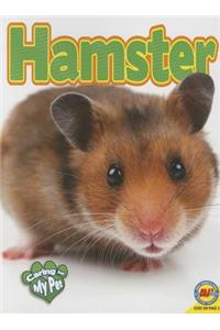 Hamster