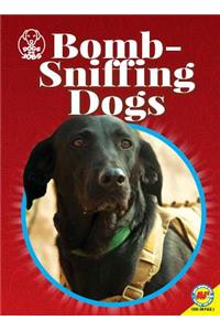 Bomb-Sniffing Dogs