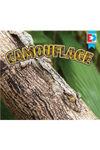 Camouflage