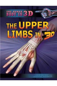 Upper Limbs in 3D
