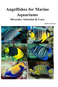 Angelfishes for Marine Aquariums