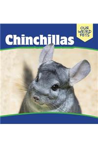 Chinchillas