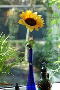 Pretty Yellow Sunflower in a Blue Bottle on a Windowsill Journal