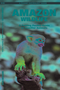 Amazon Wildlife