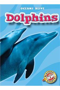 Dolphins